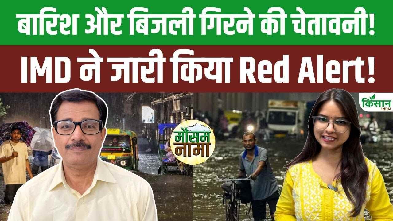 सावधान! उत्तर भारत में मंडराया भीषण 'शीत लहर' का खतरा; अगले 7 दिन सूरज के दर्शन दुर्लभ, जानें आपके शहर का हाल